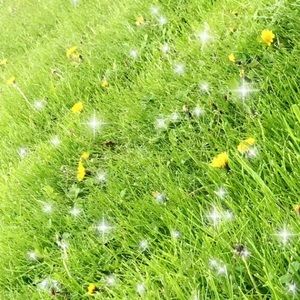 Meet your Posher, Mara